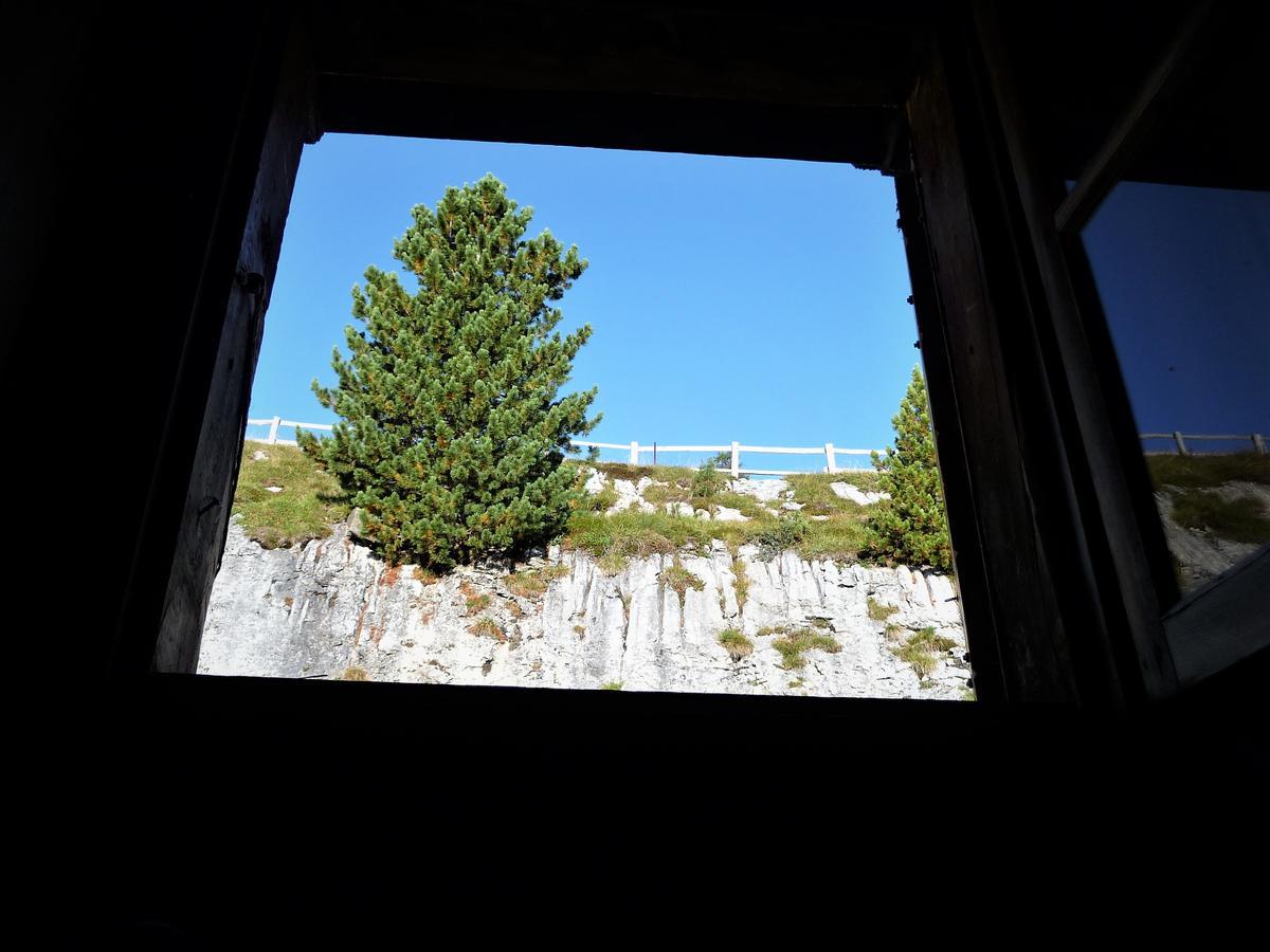 Spaces 3* San Vigilio