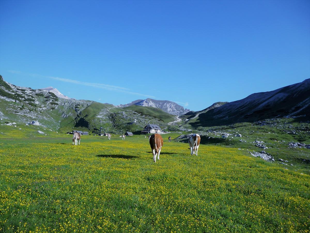 Spaces 3* San Vigilio